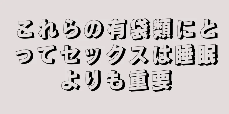 これらの有袋類にとってセックスは睡眠よりも重要