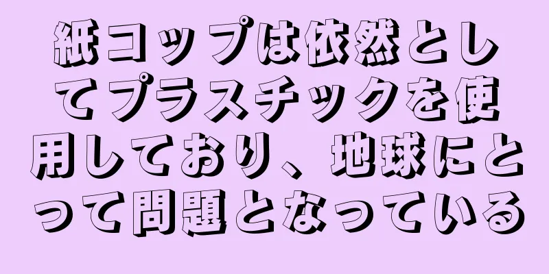 紙コップは依然としてプラスチックを使用しており、地球にとって問題となっている