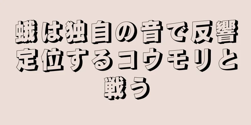 蛾は独自の音で反響定位するコウモリと戦う