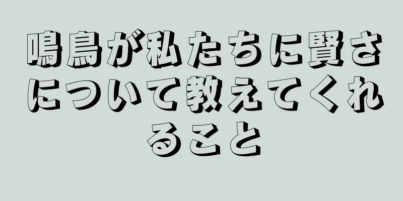 鳴鳥が私たちに賢さについて教えてくれること