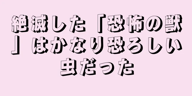 絶滅した「恐怖の獣」はかなり恐ろしい虫だった