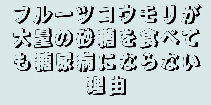 フルーツコウモリが大量の砂糖を食べても糖尿病にならない理由