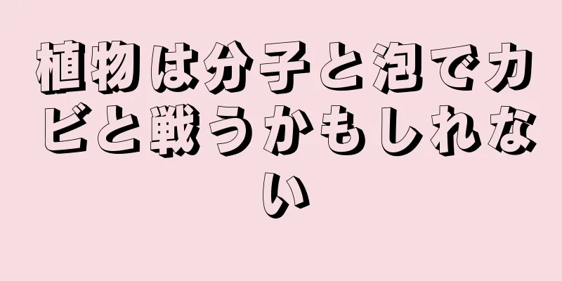 植物は分子と泡でカビと戦うかもしれない