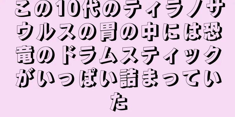 この10代のティラノサウルスの胃の中には恐竜のドラムスティックがいっぱい詰まっていた