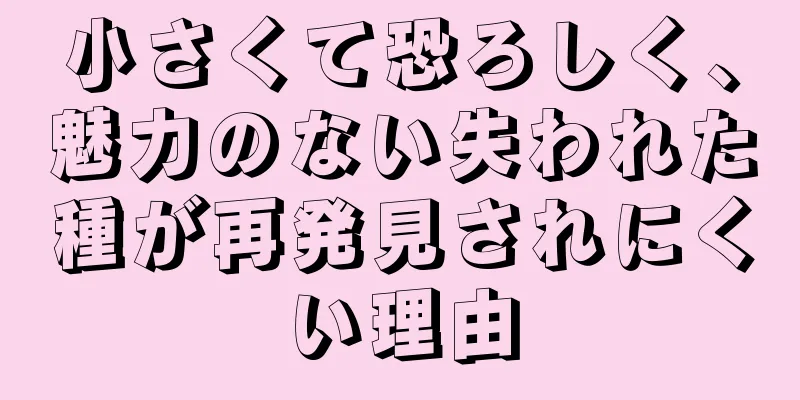 小さくて恐ろしく、魅力のない失われた種が再発見されにくい理由