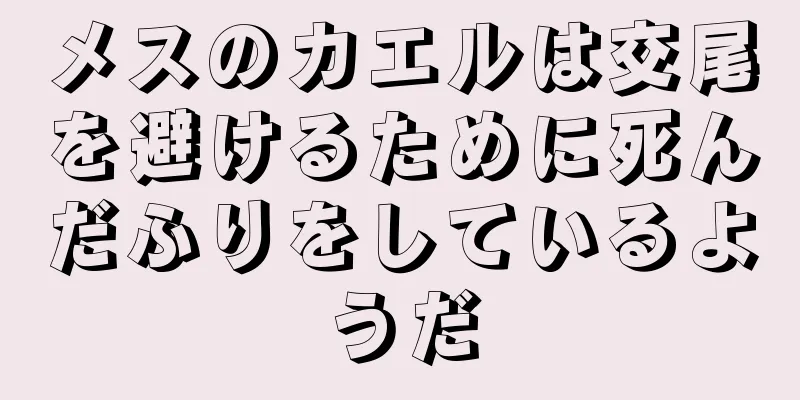 メスのカエルは交尾を避けるために死んだふりをしているようだ