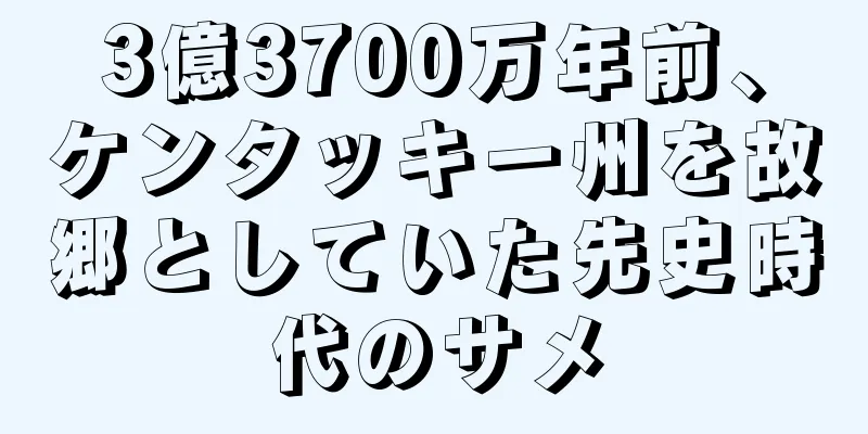 3億3700万年前、ケンタッキー州を故郷としていた先史時代のサメ