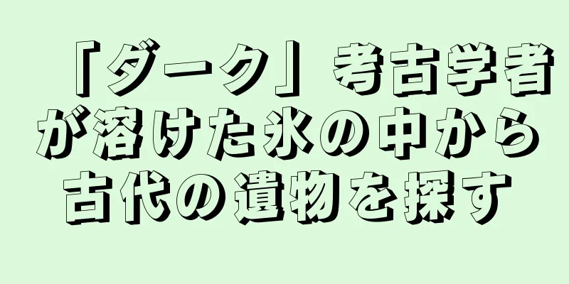 「ダーク」考古学者が溶けた氷の中から古代の遺物を探す