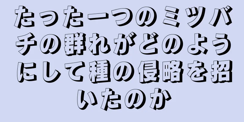 たった一つのミツバチの群れがどのようにして種の侵略を招いたのか