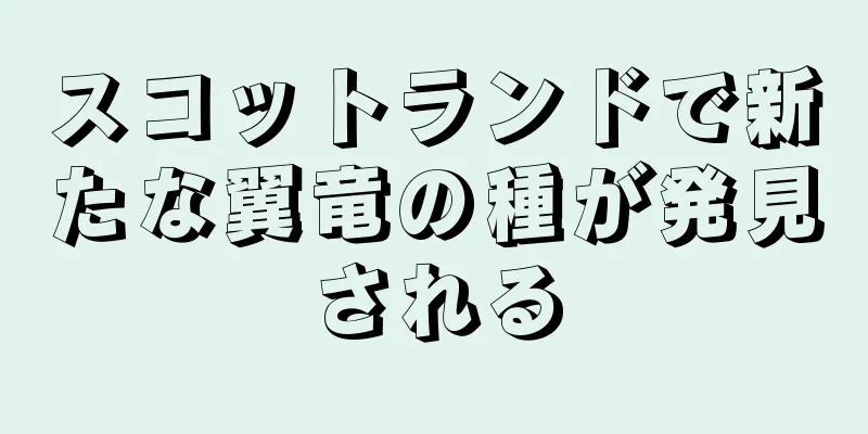 スコットランドで新たな翼竜の種が発見される