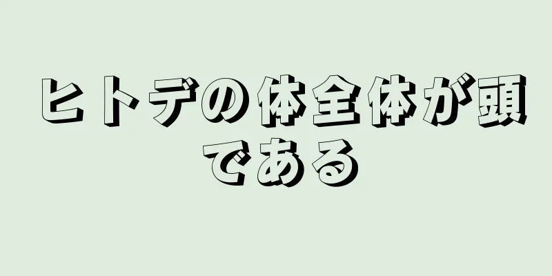 ヒトデの体全体が頭である