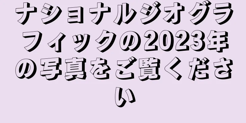 ナショナルジオグラフィックの2023年の写真をご覧ください