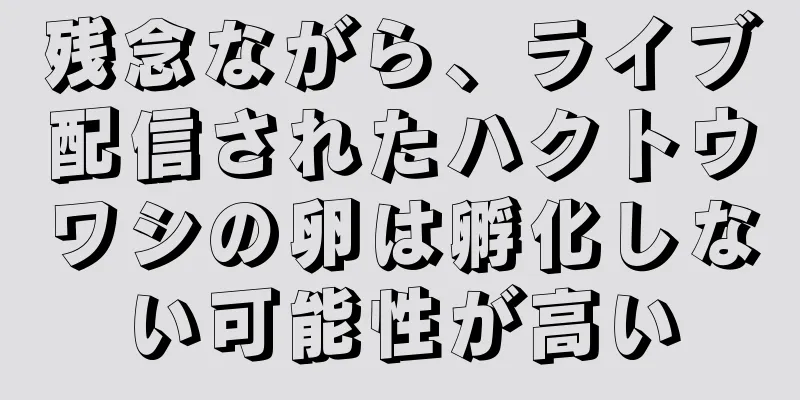 残念ながら、ライブ配信されたハクトウワシの卵は孵化しない可能性が高い