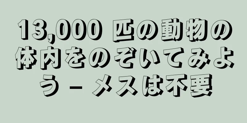 13,000 匹の動物の体内をのぞいてみよう – メスは不要