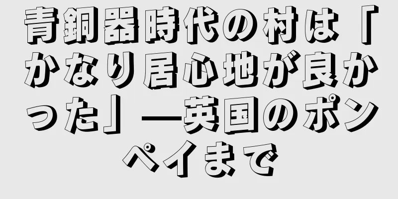 青銅器時代の村は「かなり居心地が良かった」—英国のポンペイまで