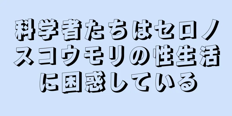 科学者たちはセロノスコウモリの性生活に困惑している