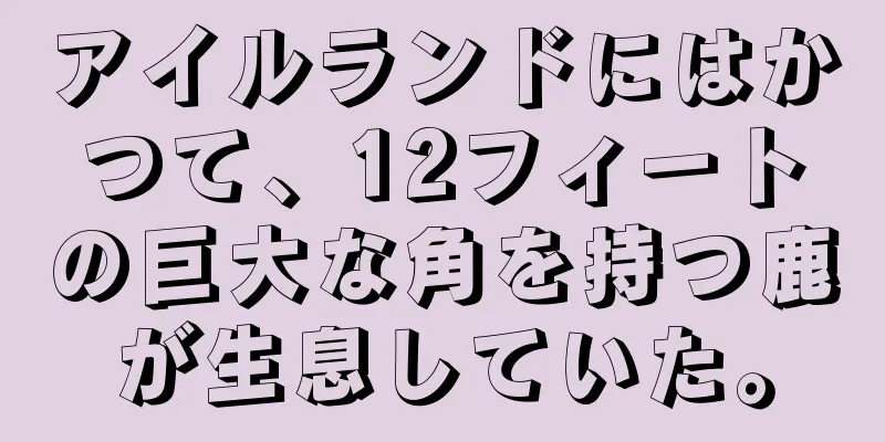アイルランドにはかつて、12フィートの巨大な角を持つ鹿が生息していた。