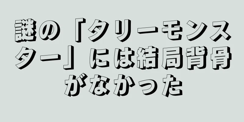 謎の「タリーモンスター」には結局背骨がなかった