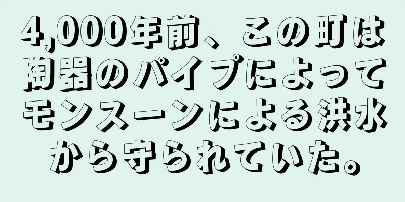 4,000年前、この町は陶器のパイプによってモンスーンによる洪水から守られていた。