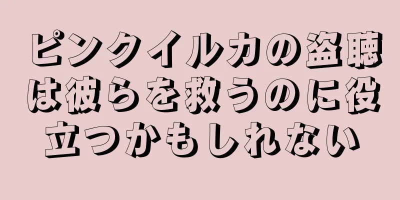 ピンクイルカの盗聴は彼らを救うのに役立つかもしれない