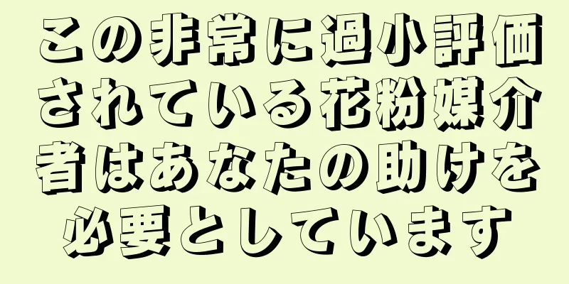 この非常に過小評価されている花粉媒介者はあなたの助けを必要としています