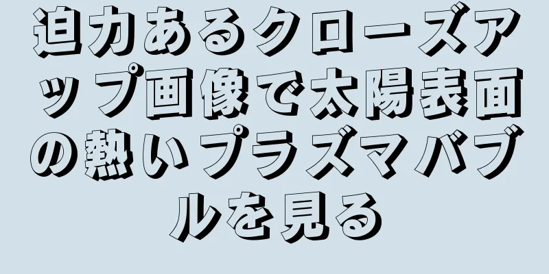 迫力あるクローズアップ画像で太陽表面の熱いプラズマバブルを見る