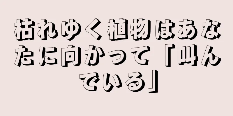 枯れゆく植物はあなたに向かって「叫んでいる」