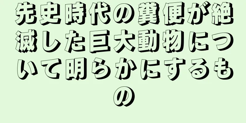 先史時代の糞便が絶滅した巨大動物について明らかにするもの