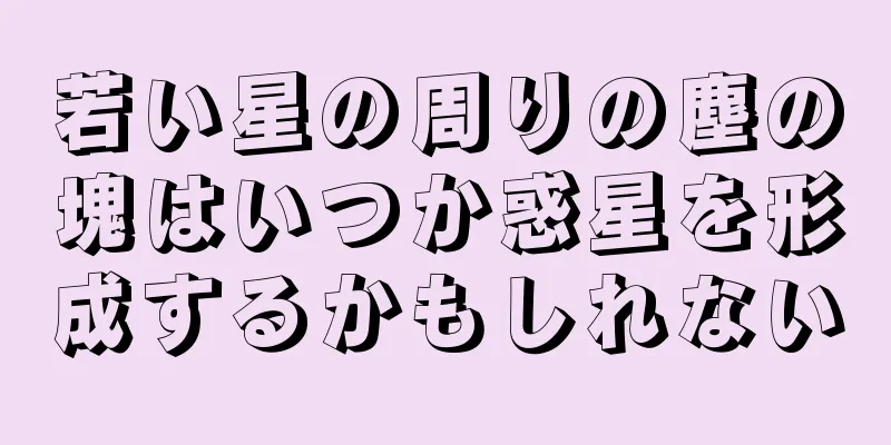 若い星の周りの塵の塊はいつか惑星を形成するかもしれない