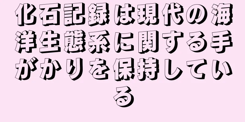 化石記録は現代の海洋生態系に関する手がかりを保持している