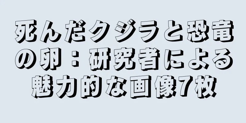 死んだクジラと恐竜の卵：研究者による魅力的な画像7枚