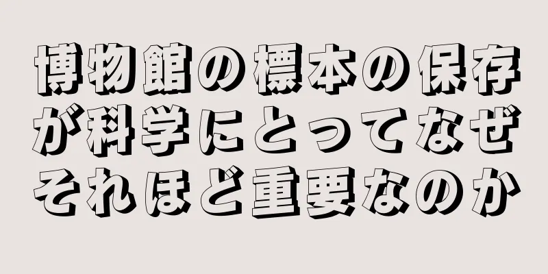 博物館の標本の保存が科学にとってなぜそれほど重要なのか