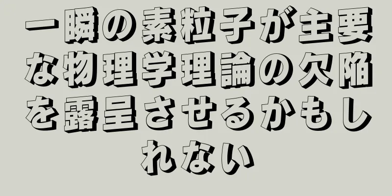 一瞬の素粒子が主要な物理学理論の欠陥を露呈させるかもしれない