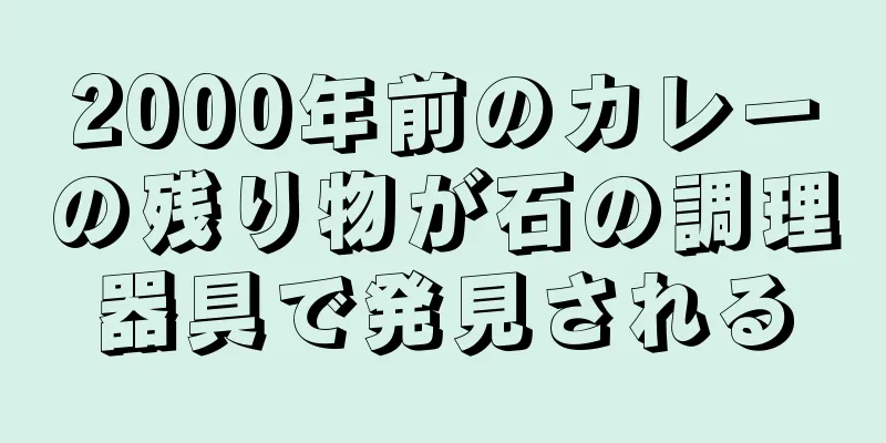 2000年前のカレーの残り物が石の調理器具で発見される