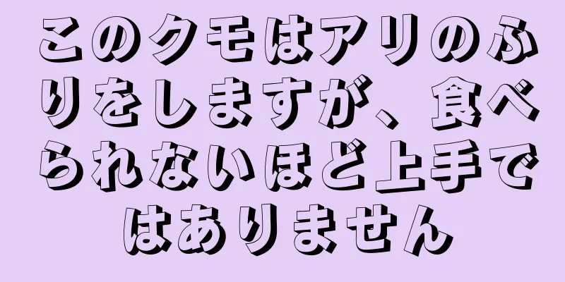 このクモはアリのふりをしますが、食べられないほど上手ではありません