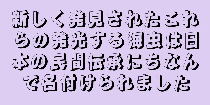 新しく発見されたこれらの発光する海虫は日本の民間伝承にちなんで名付けられました