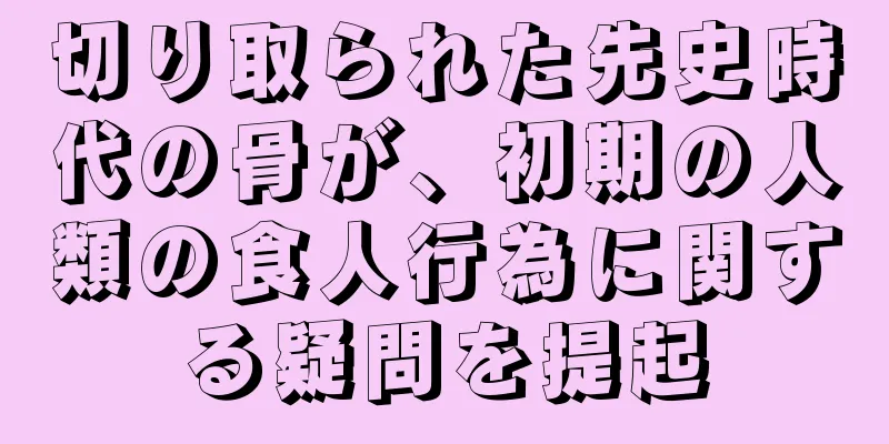 切り取られた先史時代の骨が、初期の人類の食人行為に関する疑問を提起