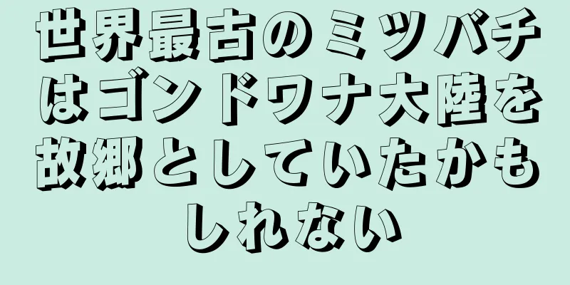 世界最古のミツバチはゴンドワナ大陸を故郷としていたかもしれない