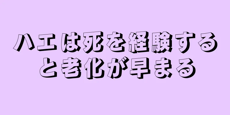 ハエは死を経験すると老化が早まる