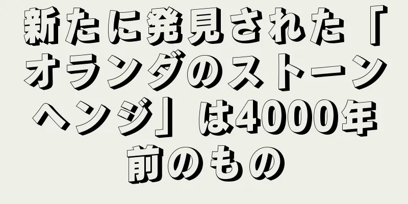新たに発見された「オランダのストーンヘンジ」は4000年前のもの