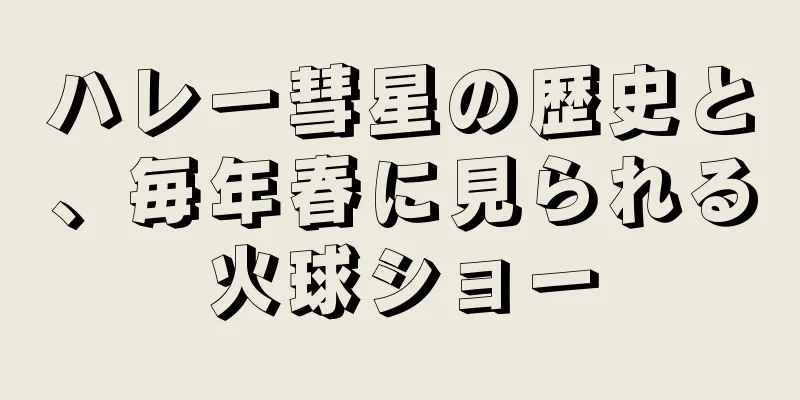 ハレー彗星の歴史と、毎年春に見られる火球ショー