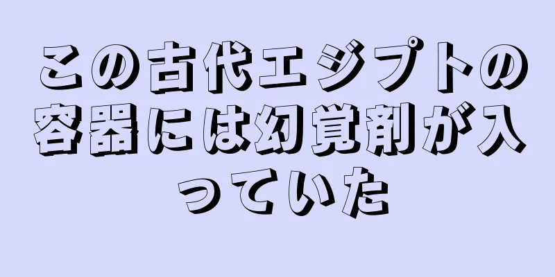 この古代エジプトの容器には幻覚剤が入っていた