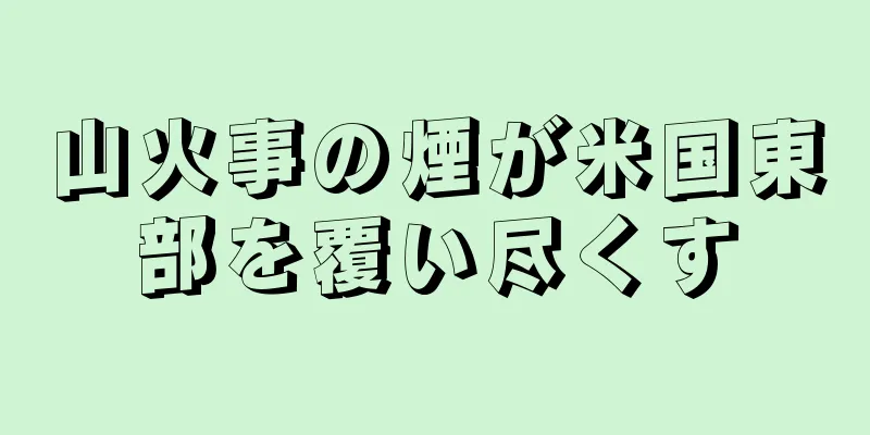 山火事の煙が米国東部を覆い尽くす
