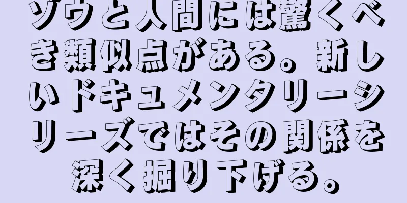 ゾウと人間には驚くべき類似点がある。新しいドキュメンタリーシリーズではその関係を深く掘り下げる。