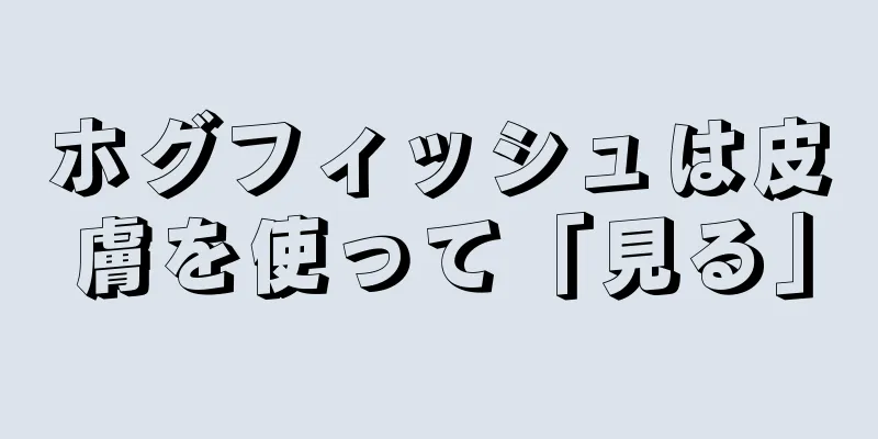 ホグフィッシュは皮膚を使って「見る」