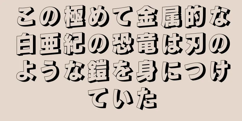 この極めて金属的な白亜紀の恐竜は刃のような鎧を身につけていた