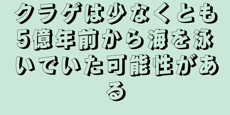 クラゲは少なくとも5億年前から海を泳いでいた可能性がある