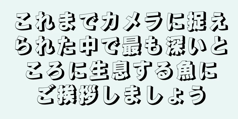 これまでカメラに捉えられた中で最も深いところに生息する魚にご挨拶しましょう