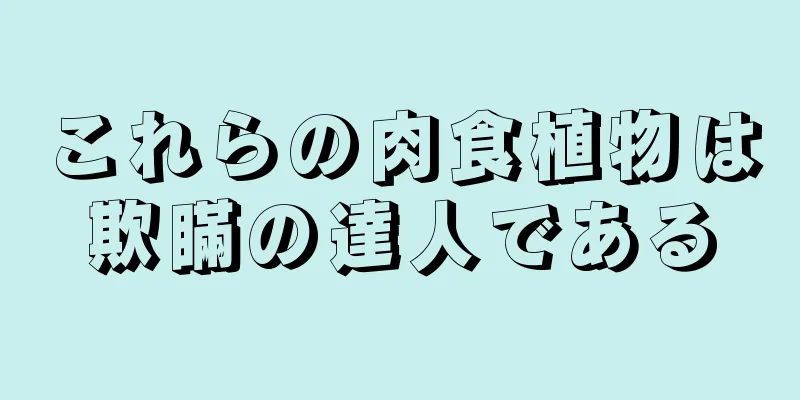 これらの肉食植物は欺瞞の達人である
