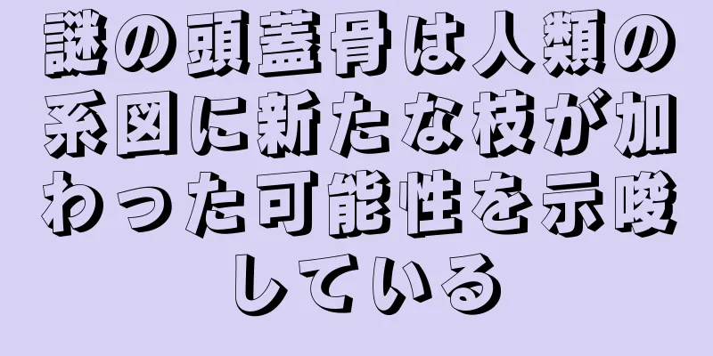 謎の頭蓋骨は人類の系図に新たな枝が加わった可能性を示唆している